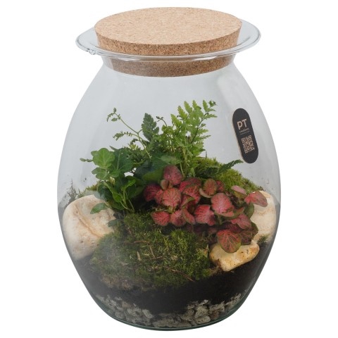 <h4>Opm Pt PTTER8142 Terrarium Glas</h4>