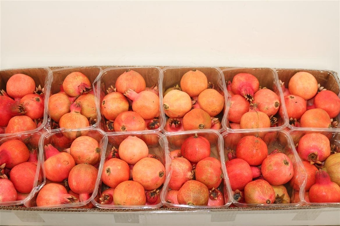 Sier Granaatappel Red 9 Kg P Box