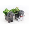 arr2 TD - Ker. honden mix x8 - roze/wit