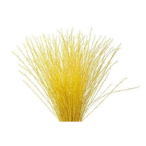 BETULA OV KLB H%