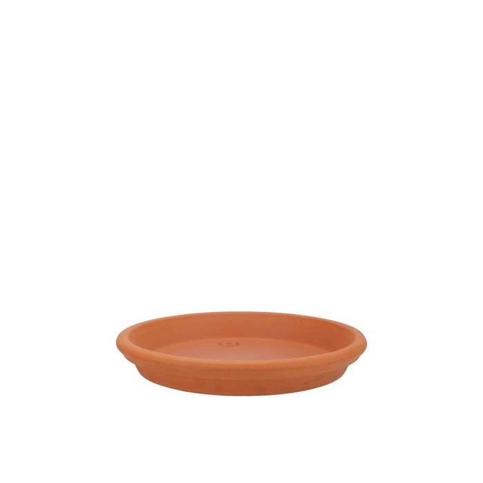 <h4>Terracotta Waterdish D19xh3cm</h4>