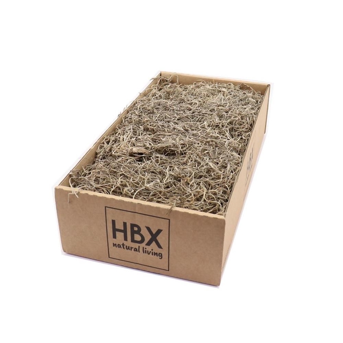 <h4>Droogdeco Tillandsia mos 350g</h4>