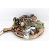 arr4 Amaryllis MB - Dienblad rond 2bol red