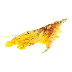 Bunch Euca Mix Pres. 150gr L65