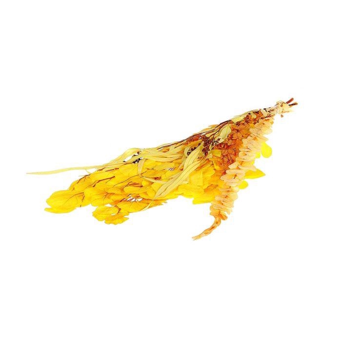 <h4>Bunch Euca Mix Pres. 150gr L65</h4>