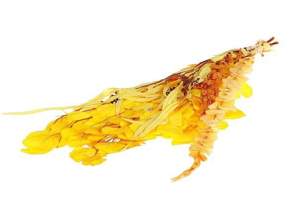 Bunch Euca Mix Pres. 150gr L65