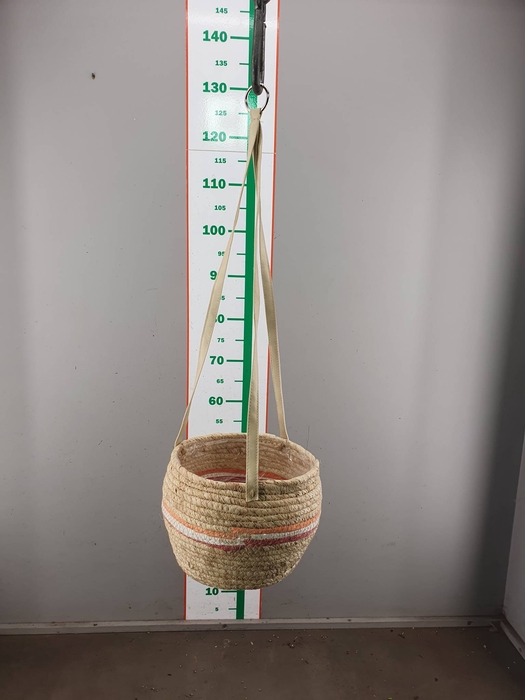 <h4>MAND HANG+TOUW D20XH16</h4>