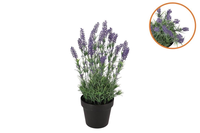 <h4>Silk Lavender Purple In Pot Black M 21x21x32cm Nm</h4>