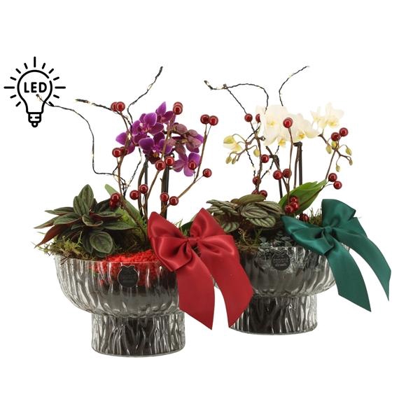 <h4>61805: X-mas arrangement</h4>