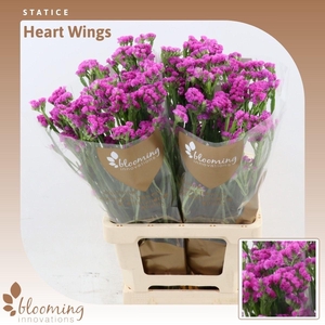 Statice Heart Wings