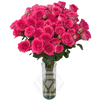 R TR BELLALINDA CERISE Tessa