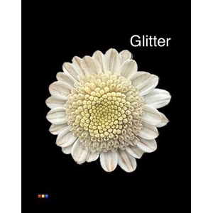 Chr T Stallion Dusty Taupe + Glit Bio