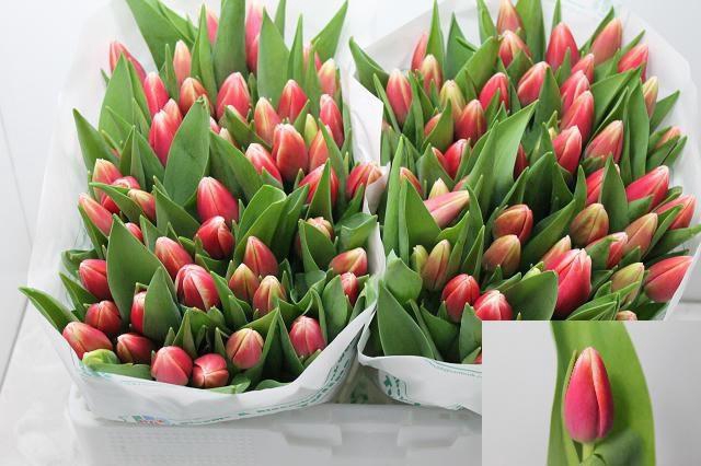 <h4>TU EN OUTFIT</h4>