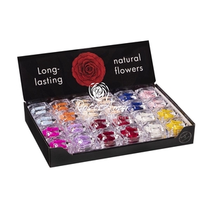 Display Jewel Assorted