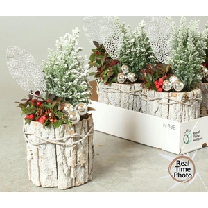 Arr Tuinplanten schorspot