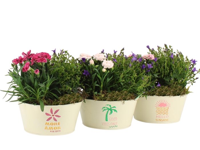 <h4>31608: Outdoor summer arrangement</h4>