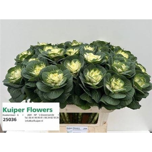 Brass White Crane 80cm Ex