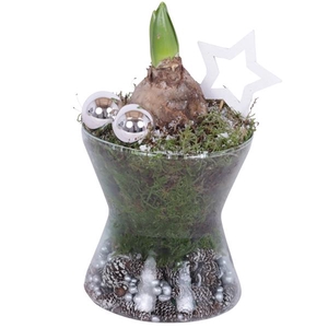 Christmas Arr. Hyacint Glass Hourglass Ø13cm 1PP
