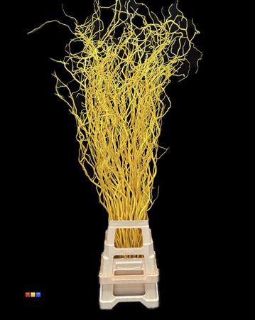 <h4>Salix 130cm Yellow</h4>