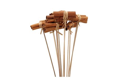 <h4>Pick Nature Cinnamon Brown 50cm Ass P/24</h4>