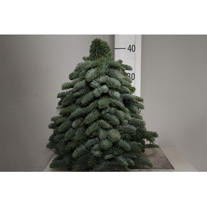 Kerstboom Nobilis 40cm