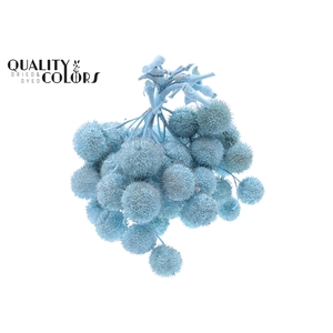 Small ball per bunch in poly Covered Light Blue