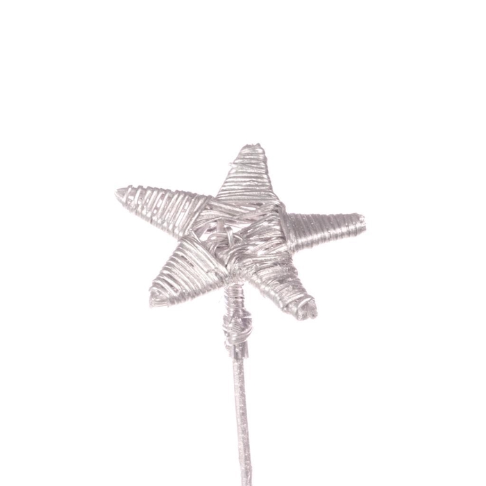 <h4>Lata St O/s Fl Silver</h4>