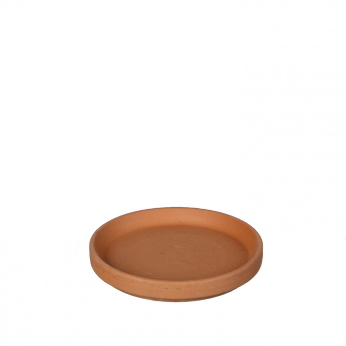 <h4>Outdoor Terracotta schotel d11*2cm</h4>