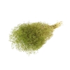 Bunch Gypsophila Pres. 100g L40/50