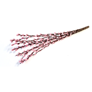 Pussy willow 60cm Light pink