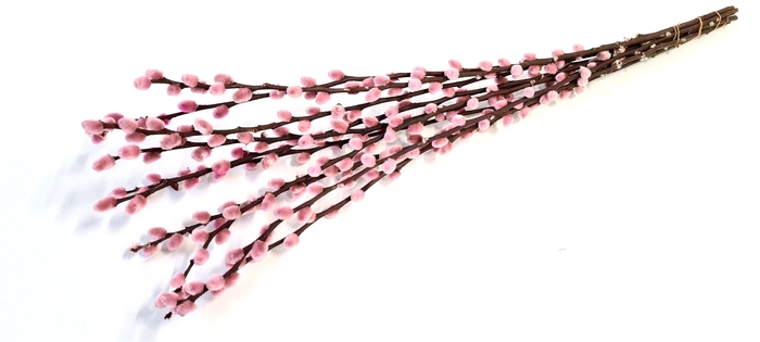 <h4>Pussy willow 60cm Light pink</h4>