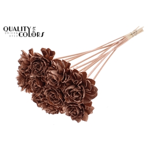 Shola Dahlia 6cm on stem Copper