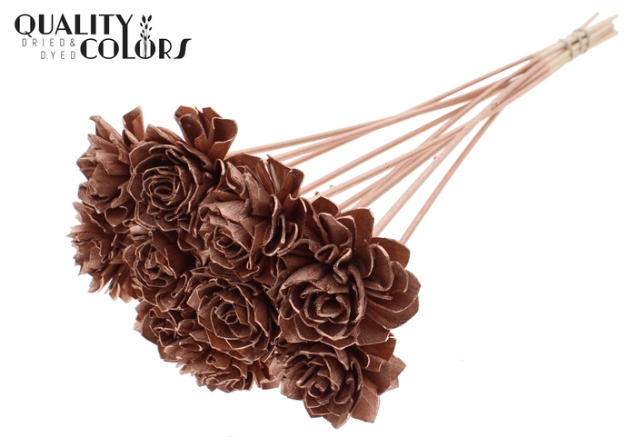 Shola Dahlia 6cm on stem Copper