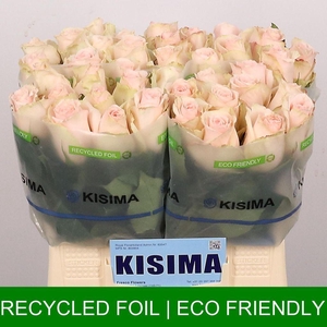 Rosa large high & bridal