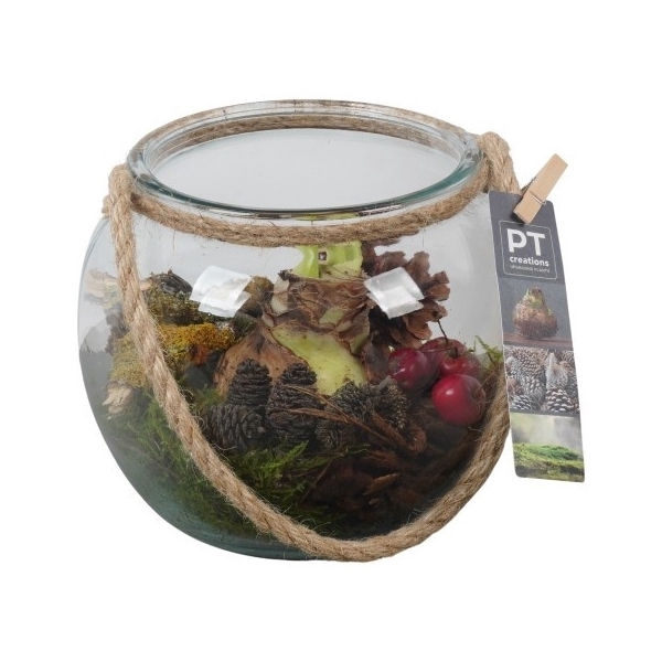 <h4>PTAA7578 Arrangement Amaryllis in glazen vaas</h4>