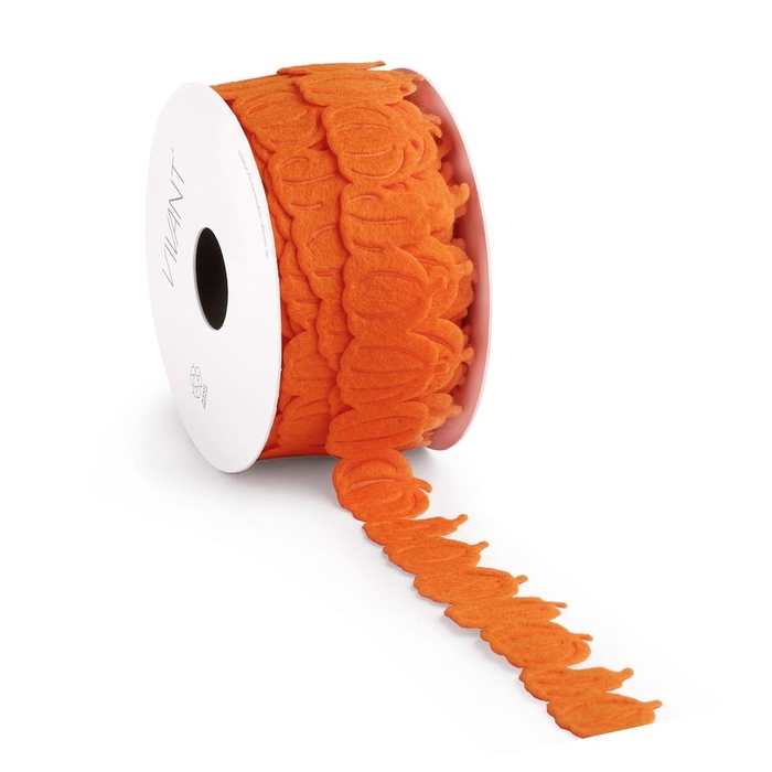 <h4>Autumn Ribbon Pumpkin 30mm 10m</h4>