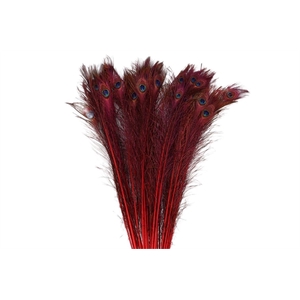 Feather Peacock Naturel Red L90-100