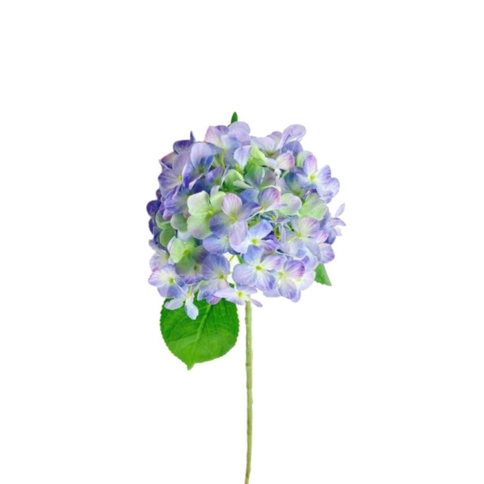 <h4>Hydrangea 55cm</h4>