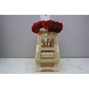 Hartje Op Stok Rood Met Hartje Wit