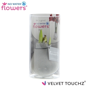 No Water Flowers Velvet Touchz® Zilver in koker