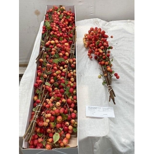 MALUS RED SENTINEL