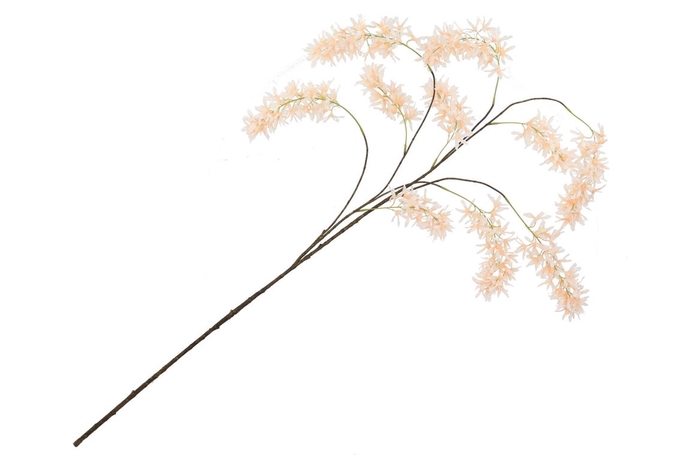 Silk Wisteria Champagne 130cm Nm