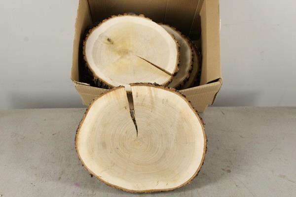 <h4>Oak Slices Ø26/31cm H:3cm</h4>