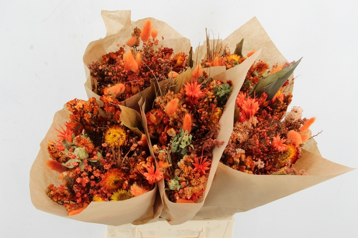 <h4>DF BOUQUET ORANGE</h4>