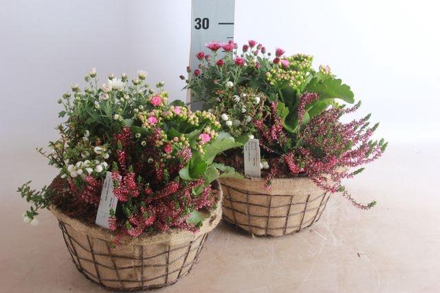 <h4>ARR GARDEN JUTE</h4>