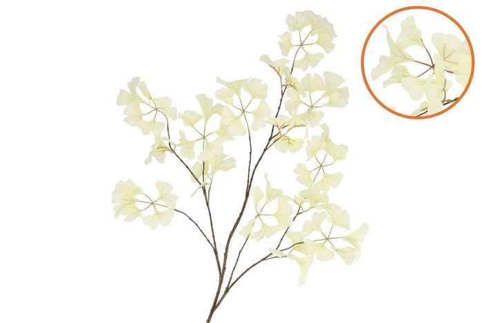 <h4>Silk Ginkgo White 130cm Nm</h4>