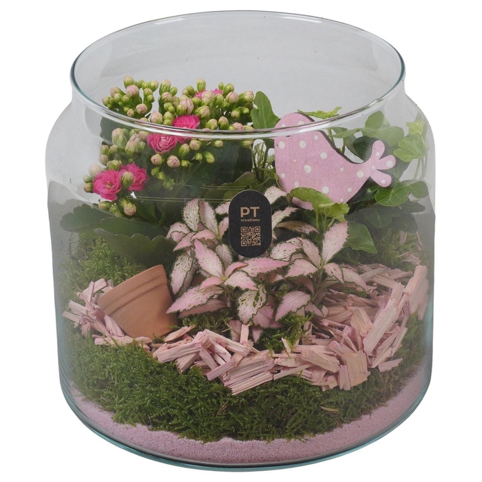<h4>Arr.    Planten  L%</h4>