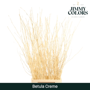 Betula L120 Creme