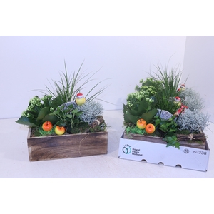 ARR TUINPLANTEN