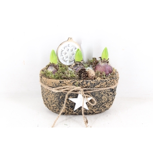 arr4 Hyacint JS - Cement robust ovaal x3